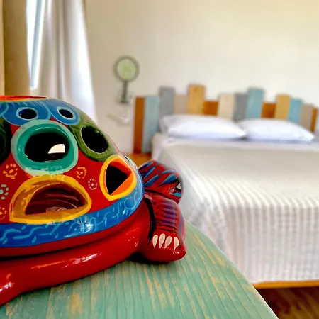 Windflake Bed and breakfast Barrabisa