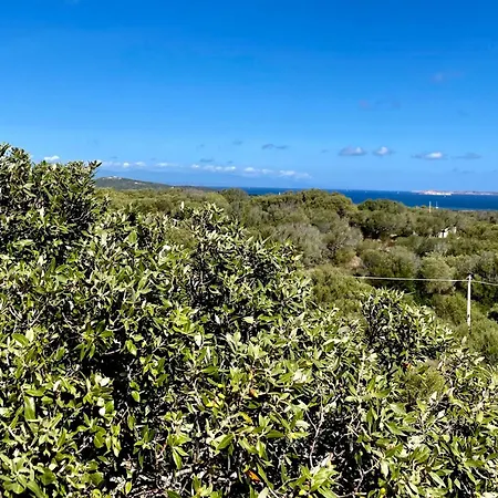 Windflake 3* Barrabisa