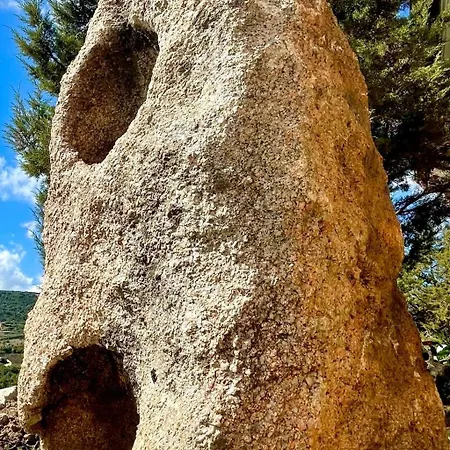 Oda ve Kahvaltı Windflake 3*