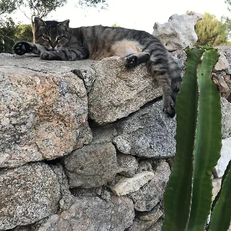 Windflake Oda ve Kahvaltı