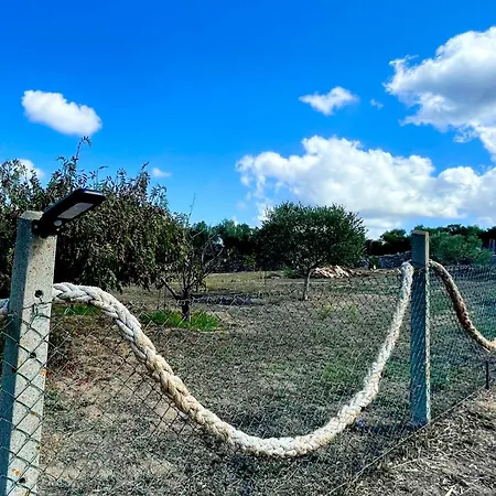 Windflake 3* Barrabisa