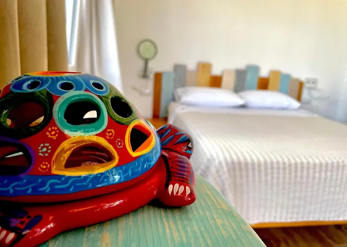 Windflake Bed & Breakfast Barrabisa