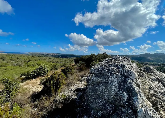 Nocleg ze śniadaniem Windflake Barrabisa