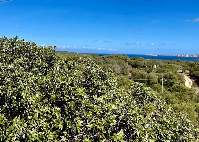 Windflake 3* Barrabisa