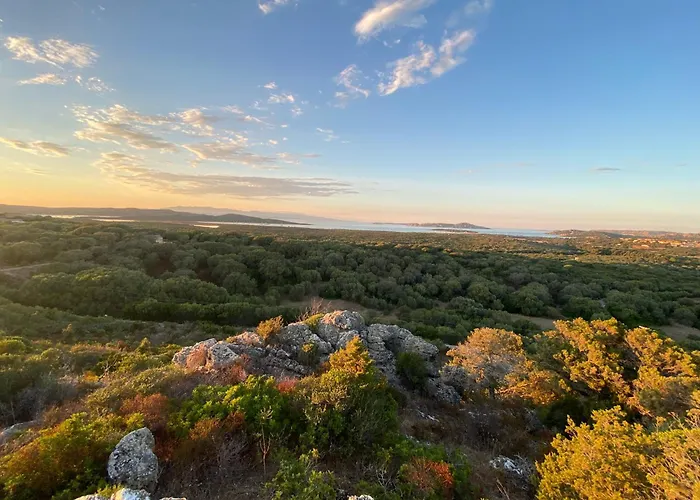 Windflake Bed & Breakfast