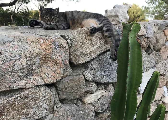 Windflake Bed & Breakfast